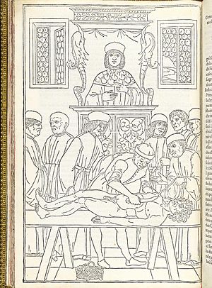 Archivo:Ketham p64