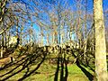 La Roche au Diable 3