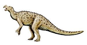 Archivo:Muttaburrasaurus NT