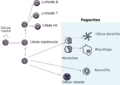 Myeloid cells es