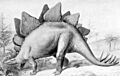 N2m stegosaurus