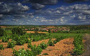 Archivo:Panorámica de Pueblica de Valverde - Zamora