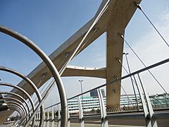 Puente Tercer Milenio Zaragoza 14