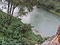Río Guayalejo, El Limón