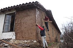 Archivo:Reparación de construcciones de adobe en Vichuquén - Región del Maule - Chile