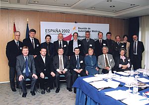 Archivo:Reunión de Chief Medical Officers en Valencia 8-03-2002