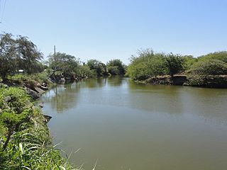 Rio Jacaguas, a 100 pies de su desembocadura en el Mar Caribe, mirando hacia el sur, Bo. Capitanejo, Juana Diaz, PR (DSC05621).jpg