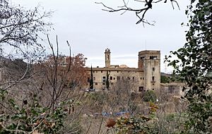 Archivo:Sant Jeroni de la Murtra