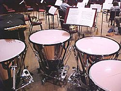 Timbales