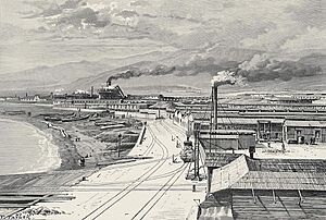 Archivo:Vista del muelle ferroviario y salitreras en Antofagasta 1876