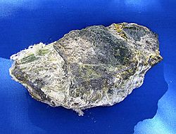 Archivo:White asbestos (Chrysotile)