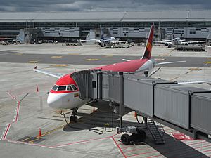 Archivo:2018 Aeropuerto El Dorado de Bogotá - Avión de Avianca conectado a pasarela de acceso
