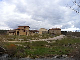 Abioncillo.jpg