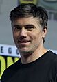 Anson Mount (43654334771) (cropped)