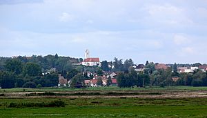 Archivo:Bad Buchau Kappel Blick von Oggelshausen