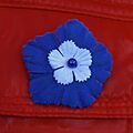 Bleuet de France version 2012