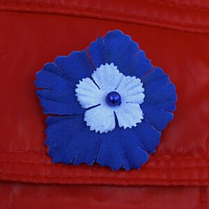 Archivo:Bleuet de France version 2012