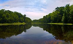 Cedarville State Forest Pond in Waldorf, Maryland.jpg