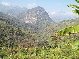 Cerro de algodon.jpg