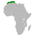Cyanistes teneriffae distribution map