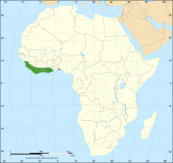 Distribución de la mamba verde occidental