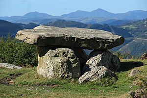 Archivo:Dolmen de Merias (Tineu) (6)