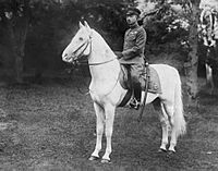 Archivo:Hirohito Sirayuki