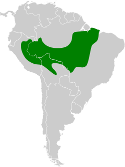 Distribución geográfica del hormiguero colibandeado.