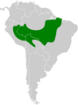 Hypocnemoides maculicauda map