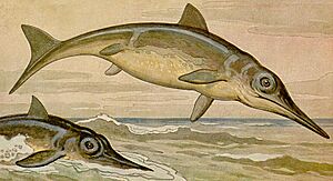 Archivo:Ichthyosaurus h harder