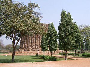 Archivo:India-Qutb-Alai