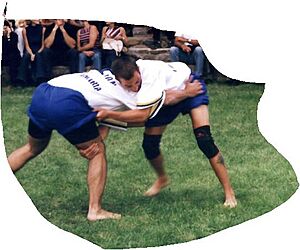 Archivo:LUCHA 3