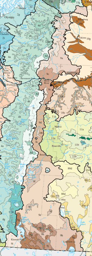 Archivo:Level IV ecoregions, Eastern Cascades
