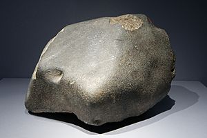 Archivo:Meteorite L'Aigle MNHN Minéralogie