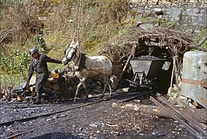 Archivo:Mine charbon Matarrosa del Sil avril 1984-a