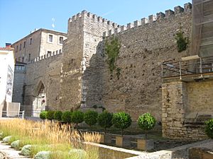 Archivo:Muralla medieval de Vitoria
