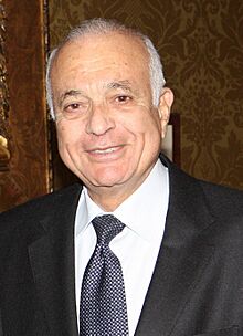 Nabil El-Araby.jpg