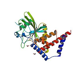 Archivo:PBB Protein PTPN22 image