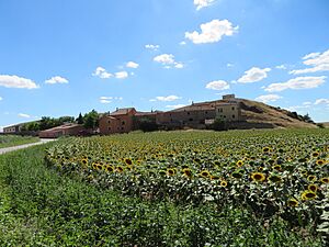 Archivo:Panorámica de la localidad de Tordelpalo, Guadalajara