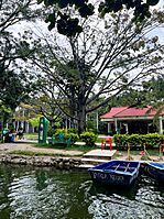 Archivo:Parque Joyyo Mayu