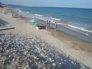 Archivo:Playa Manyetes, playa Tropicana (Alcossebre)