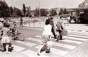 Archivo:Prehod za pešce na Glavnem trgu pri Starem mostu 1961