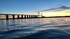 Puente Rosario-Victoria (amanecer).jpg