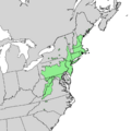 Quercus ilicifolia range map 1