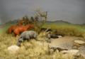ROM-Miocene-Diorama3