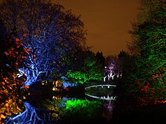 Syon Park Enchanted Woodland 3