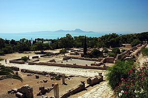 Archivo:Tunisie Carthage Ruines 08
