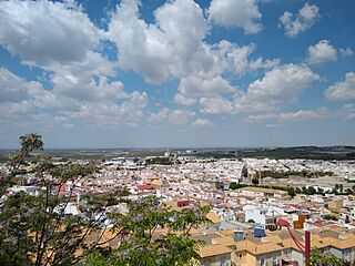 Vista de Morón de la Frontera.jpg
