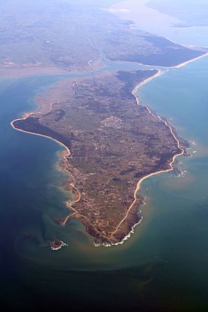 Archivo:Île d'Oléron aerial view
