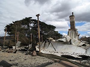 Archivo:09 vic bushfire damage Steels Creek 01